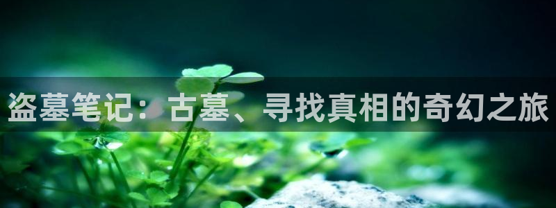 97午夜免费影院