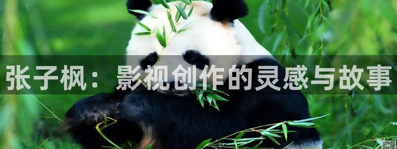 97dyy影院手机版