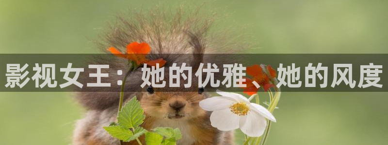 97老子影院：影视女王：她的优雅、她的风度