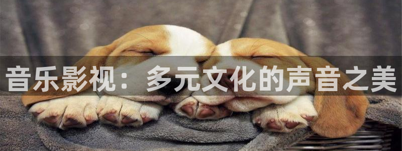 1997年的迷宫完整版在线观看：音乐影视：多元文化的声音之美