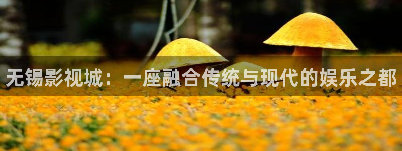 极品影院97：无锡影视城：一座融合传统与现代的娱乐之都