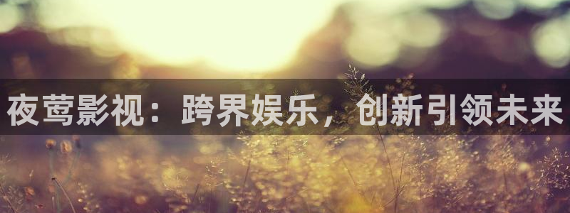 1977年欧美复古电影：夜莺影视：跨界娱乐，创新引领未来