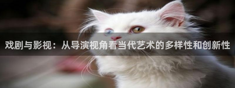 97狼人影院：戏剧与影视：从导演视角看当代艺术的多样性和创新性